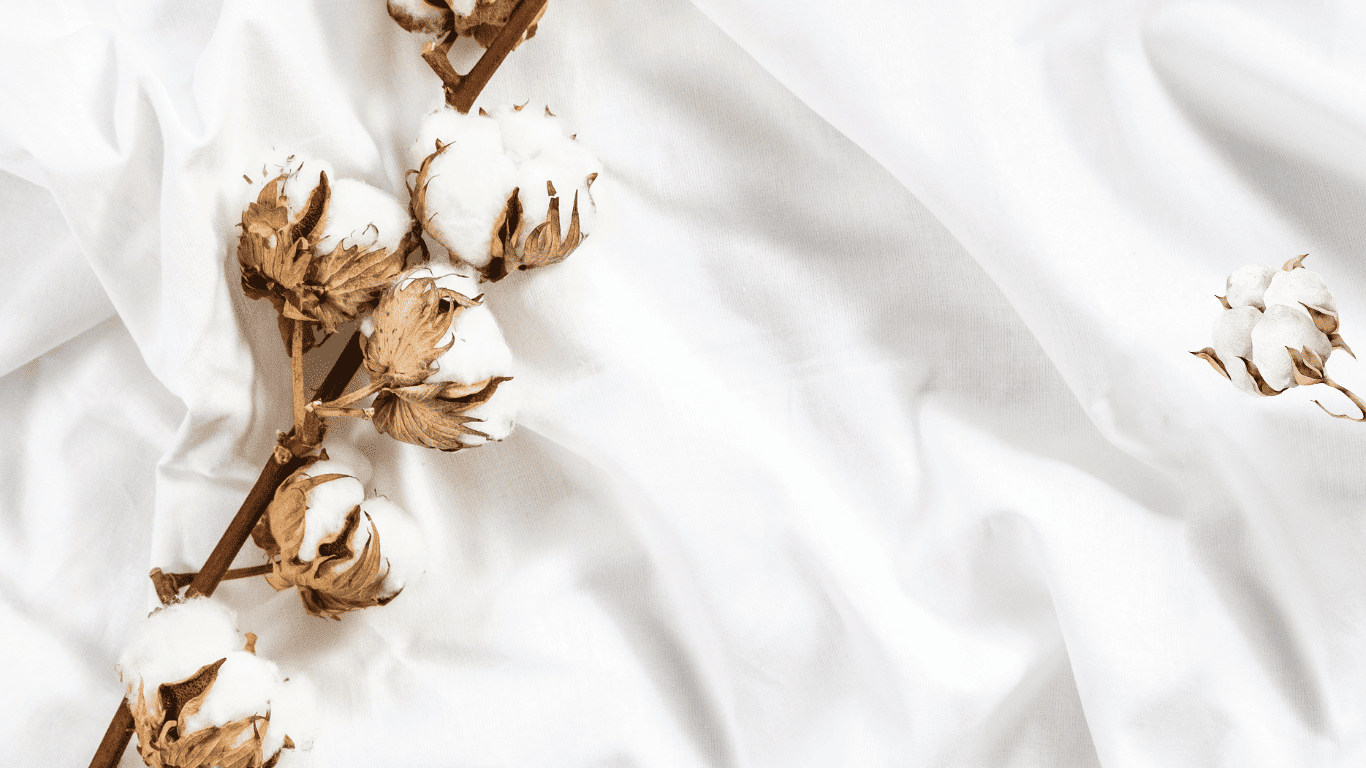 Donna - Cotone medical