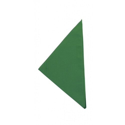 fazzoletto-cuoco-verde