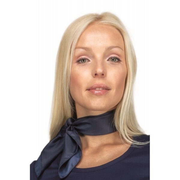 foulard-isacco-blu-115402