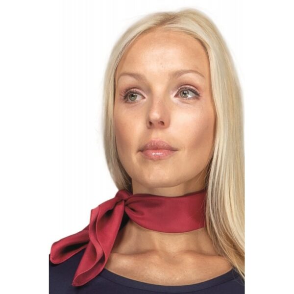 foulard-isacco-bordeaux-115403